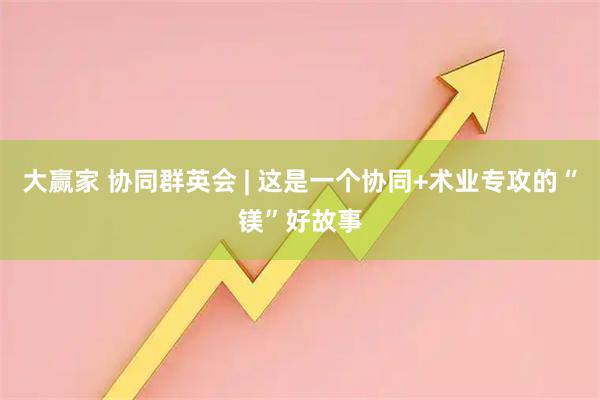 大赢家 协同群英会 | 这是一个协同+术业专攻的“镁”好故事